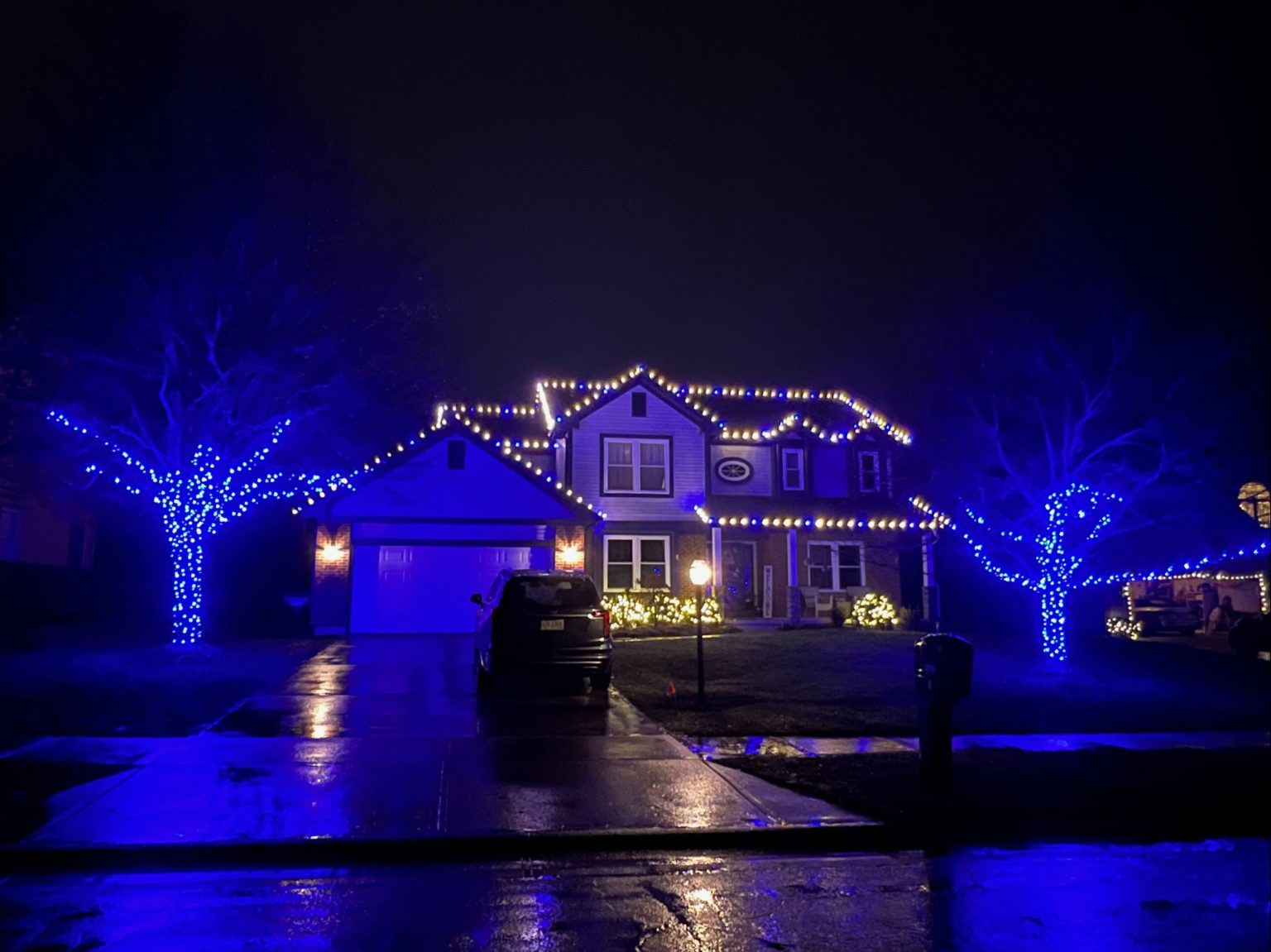 Branch Wrap Vs. Canopy Wrap Light'n Up Ohio